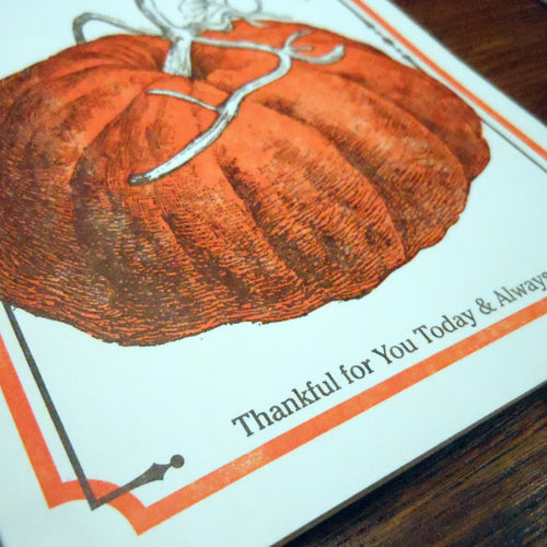thanksgiving pumpkin seed pack
