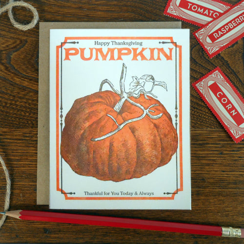 thanksgiving pumpkin seed pack