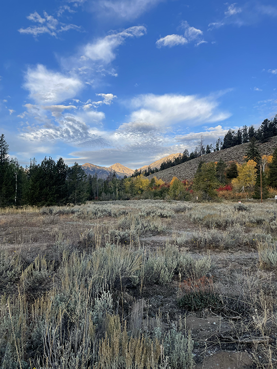 week thirty-nine 2025