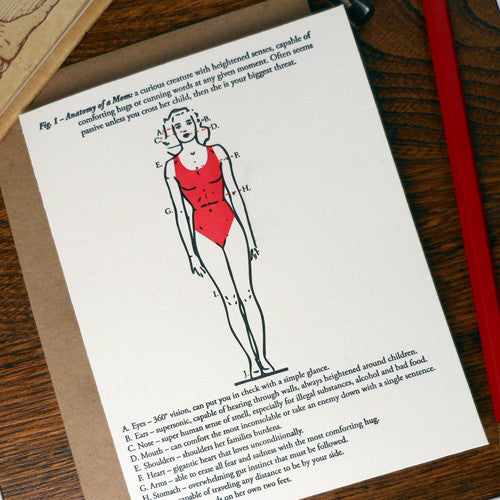 fig. 1 anatomy of a mom