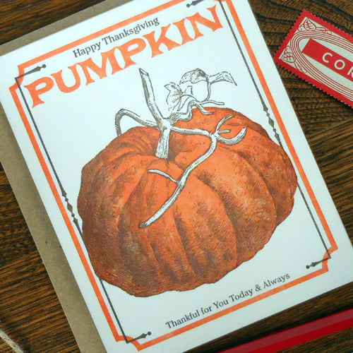 thanksgiving pumpkin seed pack