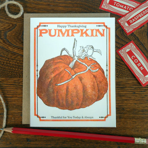 thanksgiving pumpkin seed pack